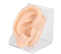 Modello pratico di orecchio in silicone morbido, adatto per agopuntura auricolare e formazione didattica, versioni destra e sinistra incluse