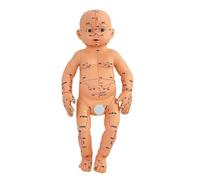 Modello realistico di anatomia del bambino Modello di allenamento per massaggio infantile per agopunti pediatrici Pratica di massaggio e strumento di insegnamento per l'apprendimento dell'agopunto