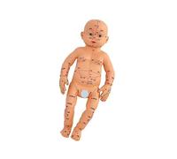 Modello realistico di anatomia del bambino, modello di allenamento per massaggio infantile, per agopunti pediatrici, pratica di massaggio e strumento di insegnamento, anatomia infantile con punti di
