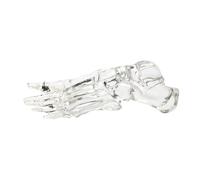 Modello Scheletro Del Piede Umano Trasparente Anatomia Del Piede Sinistro E Della Caviglia Modello Per L'insegnamento Della Ricerca E Uso Educativo Skeletro Del Piede In PVC