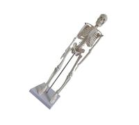 Modello Scheletro Umano 45cm in PVC Articolazioni Mobili | Base Stabile in Posizione Eretta, Dettagli Accurati, per Insegnanti, Educatori, Cliniche e Università