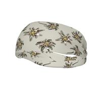 Modello Senza Cuciture Con H E Stella Alpina Colorata Disegnata, Fascia per il sudore sportiva per fasce multiple unisex Fasce per allenamento per il sudore Fascia per capelli elastica