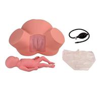 Modello simulatore di parto per addestramento ostetrica, manichino per la consegna della posizione del feto per presentazioni pelviche normali e anormali, strumento educativo per il travaglio e il