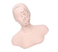 Modello Testa Per Allenamento Massaggio Viso Con Punti Meridiani Precisi Studenti Bellezza Che Praticano Modello Testa Allenamento Con Punti Digitopressione