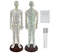 Modello umano dei punti di agopuntura Bambola per agopuntura in scala 1/3 Manichino per agopuntura da 21,3''/54 cm con indicazione dei punti di agopuntura in inglese, per studenti