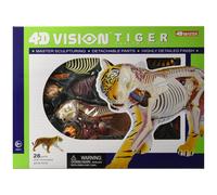 Modelo anat mico de tigre Famemaster 4D Vision