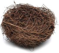 Modelo De Nido De Pájaro Decoración Creativa De Pascua De Mini Huevo De Codorniz Artificial Simulado 10 cm/15 Cm Durability and Fashion