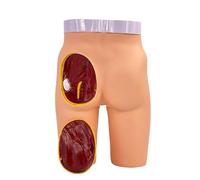 Modelo inyección intramuscular glútea desmontable para enseñanza