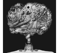 Modern Color There Goes The Dream (Vinyl LP)