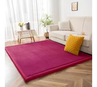 Modern Coral Fleece Area rug for Living Room & Nursery Washable Non-Slip Soft Mat 2cm Thick Kids Carpet Boys & Girls - 120x200cm