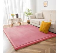 Modern Coral Fleece Area rug for Living Room & Nursery Washable Non-Slip Soft Mat for Kids' Bedroom Thick 2cm Plush Carpet (H-200x350cm)