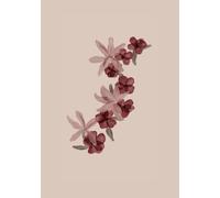 Modern Elegant Floral Notebook Diary for Journaling & Writing | 150 Pages | A5 Lined Notebook | Ruled Journal | Planner | Stationery | School Supply | Beautiful Flower Print | Botanical Design