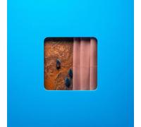 Modern Error Victim of a Modern Age (Vinyl LP) 12" Album