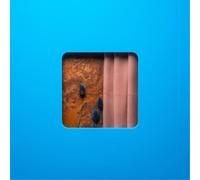 Modern Error Victim of a Modern Age (Vinyl LP) 12" Album