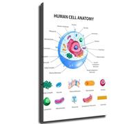 Modern Human Cell Diagram Wall-Art Science Biology Poster Educational Canvas Print for Home Office Living Room Wall Decor(Framed,12x18inch(30x45cm))
