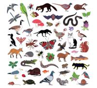 Modern Nature Island of Noise (CD) Album