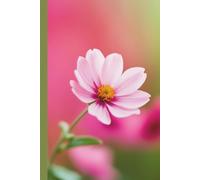 Modern Pink Bloom Daily Prayer Journal for Women and Teens: 120 alternating pages, 6 x 9 inches, devotional prayerbook, self-care diary, gift idea