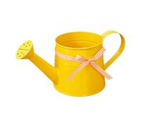 Modern Plant Watering Cans - Sleek Pitcher, Single Item Steel Caddy for Balcony Tubs, Polished Basin with Slim Neck, Horticulture Gear, Targeted Feeder for Desktop Pots, Herbiary and Terrariums