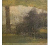 Welcome Strangers (180g, Printed Inner Sleeve) - Modern Studies (Vinile)