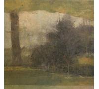 Modern Studies WELCOME STRANGERS -HQ- (Vinyl LP)