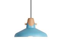 Modern Style Nordic Style Light Light Bohémien Colore a testa singola Vianteli ristoranti Light Sospendiom Lampada Lampada Appediare Mot Light per la camera da letto Café Studio Room Cucina isola