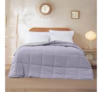 Modern Threads Piumone e inserto reversibile trapuntato in microfibra, morbido, confortevole, alternativa alla piuma d'oca, biancheria da letto per tutte le stagioni, ametista/argento completo/queen