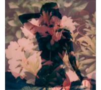Modern Vices Modern Vices (CD) Album