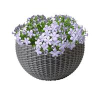 Modern Wall Mount Flower Container Elegant Basket Decorative Holder