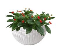 Modern Wall Mount Flower Container Elegant Basket Decorative Holder
