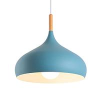 Moderna e semplice a forma di ciotola a forma di ciotola decorazione industriale a sospensione retrò a sospensione fienile illuminazione appesa a cupola color lampadario del paralume carino e27