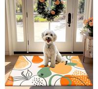 Moderno Astratto, Frutto di Stampa Non-Slip Assorbente zerbino per Ingresso, Disimpegno e Cucina - Polvere Trapper Tappeto con un Design Vibrante
