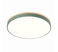 Moderno Legno Led Plafoniera Fxture Verde Rotondo Ombra Lampada Da Soffitto Montaggio Semi Flush Dimmerabile Lampada Da Soffitto Per Corridoio Cucina Camera Bagno-Luce bianca calda 50cm