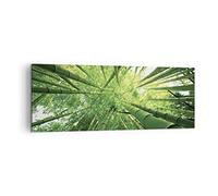 Moderno Quadro su Tela 140x50 cm Stampe da Parete Paesaggi Foresta - 4235 | Bambù Giungla Verde Quadro Decorativo XXL 1 pezzo Soggiorno Camera da Letto Arte da Parete Decorazione da Parete ARTTOR