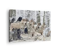 Quadro su Tela 70x50cm Branco lupi inverno Stampe Immagini Quadri Moderni Murale