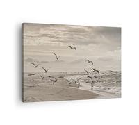 Moderno Quadro su Tela 70x50 cm Stampe da Parete Paesaggi Marino - 4723 | Gabbiani Costa Boho Quadro Decorativo Piccolo 1 pezzo Soggiorno Camera da Letto Arte da Parete Decorazione da Parete ARTTOR