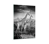 Quadro su Vetro Verticale 50x70cm Stampe da Parete Giraffe Bianco E Nero Fotografia Piccoli Decorazione Murale Camera da Letto Cucina 1 pezzo Quadri Moderni Soggiorno Immagini Wall Art GPA50x70-4441