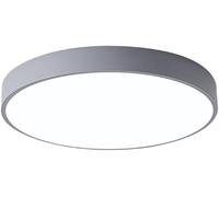 Moderno Semplice, A Spettro Completo, Cri95 Dimmerabile All'infinito, Sorgente Luminosa con Lente A LED, Plafoniera Rotonda, Otto Colori Disponibili, Camera da Letto, Sala da Pranz, Ash, 30cm