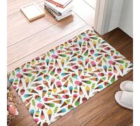 Moderno Tappeto per porta d'ingresso Colorful Ice Cream Zerbino Tappetino per piedi 40×60cm per Vasca da Bagno,Porta d'Ingresso,Ufficio