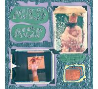 Modest Mouse - Sad Sappy Sucker