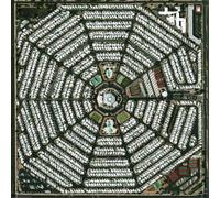 Modest Mouse Strangers to Ourselves (Vinyl LP) 12" Album