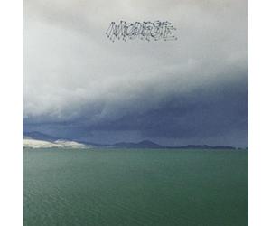 Modest Mouse The Fruit That Ate Itself (Vinyl LP) 12" Album