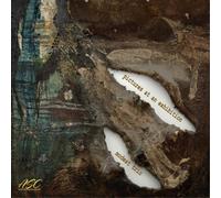 Modest Trio Pictures at an Exhibition (CD) Album