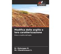 Modifica delle argille e loro caratterizzazione: Rilievo e modifica dell'argilla