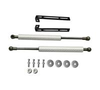 Modifica Molla A Gas Per DS3 Montanti Cofano Anteriore Asta Supporto Pistoni Ammortizzatori Idraulici In Fibra Carbonio Asta Idraulica Anteriore Dell'auto(Silver carbon fiber)