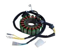 Modifica Motocicletta Motore Magnetico Generatore Trifase Bobina Statore Ad Alta Potenza Per CG125 18 Poli 200W 250W 300 350W 150cc ATV Statore Magnete Piastra Bobina