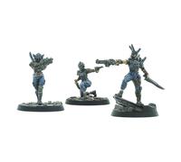 Modiphius Entertainment: Fallout: Wasteand Warfare Raiders - Disciples Leaders -
