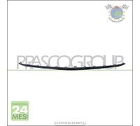 Modonatura paraurti Prasco Anteriore per MERCEDES CLASSE E 2.0220 AMG63 AMG5 ##1