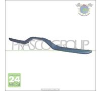 Modonatura paraurti Prasco Posteriore per MINI