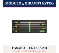 MODULO 5 GIRAVITI ESTRO FASANO FG 100/45H