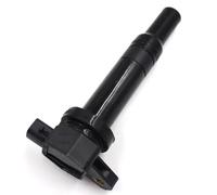 Modulo Accensione Bobina Per Kia Carnival 2.7I/Magentis 2.7I/Hyundai Santa Fe